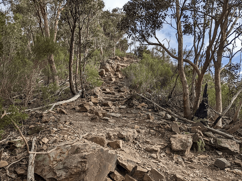 A rocky trail heading up a hill