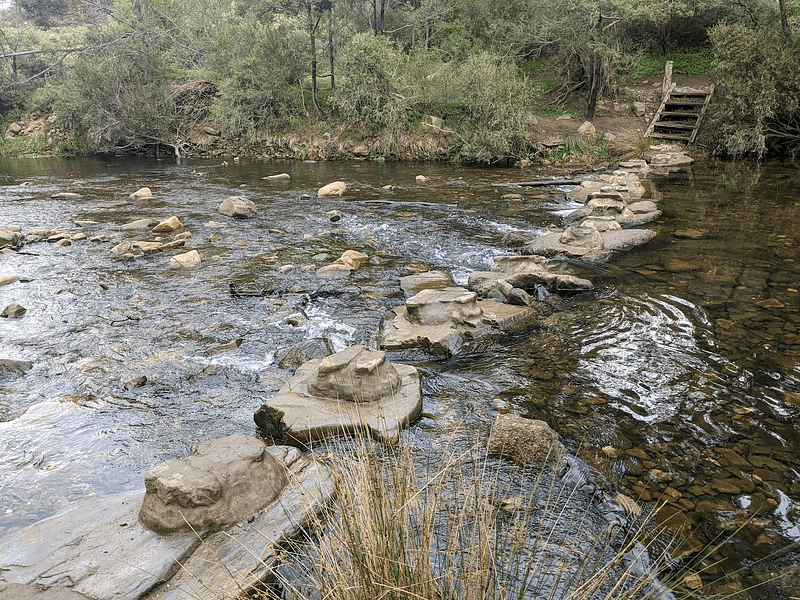 A river crossing consisting of stepping stones spaced across it, with steps at one end