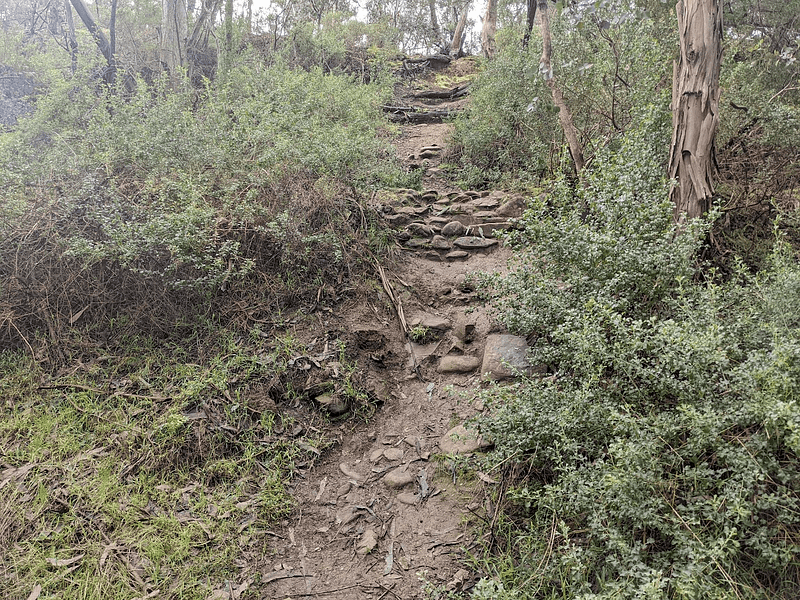 A steep rocky trail heading up the side of a hill