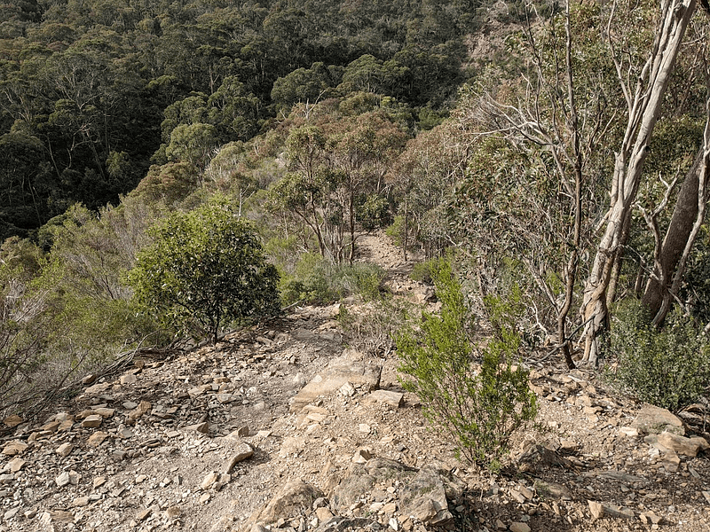 Looking back down a trail into a valley with low vegetation on the sides