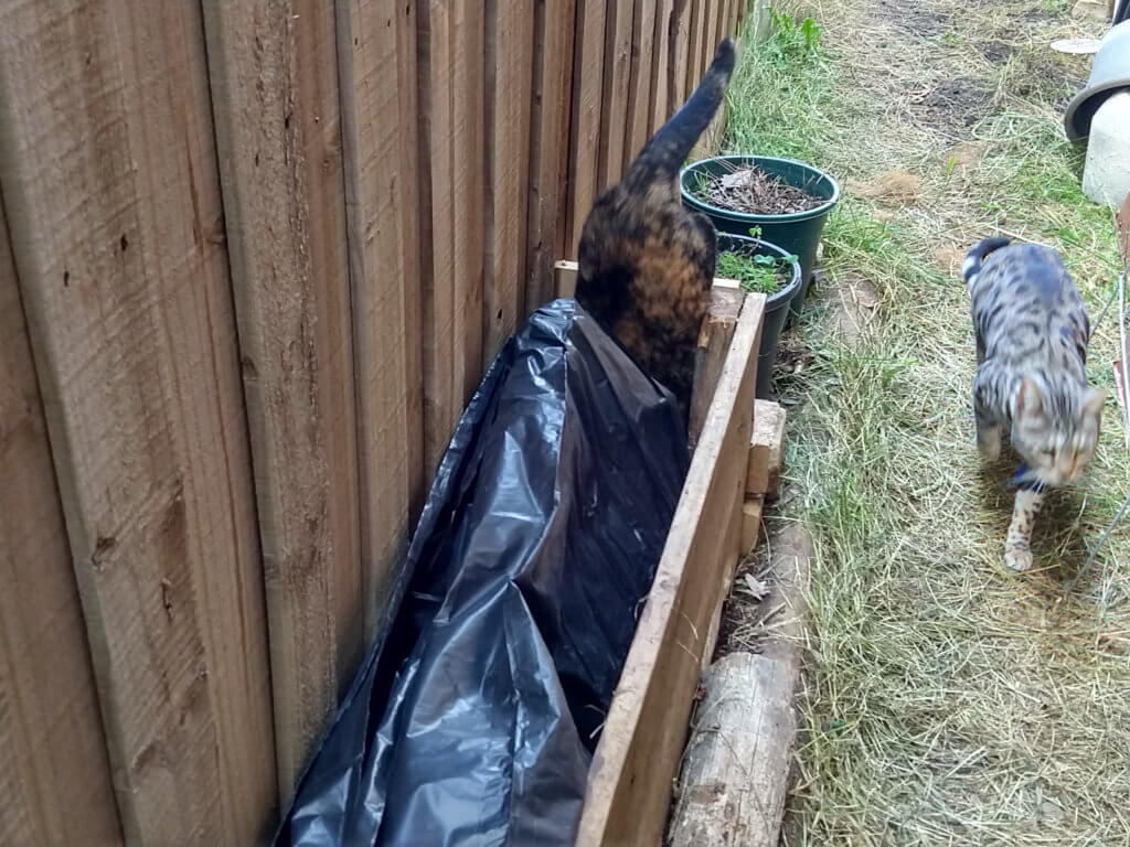 Building a Wicking Bed